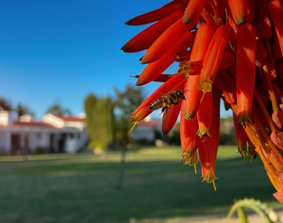 Herdade Do Kuanza Zambujeira do Mar Luaran gambar